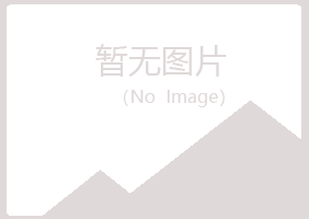 岳西县沛菡能源有限公司